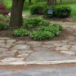Landscaping and Hardscaping Yard
